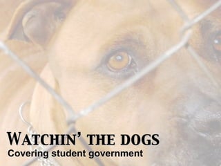 Watchin’ the dogs
Covering student government
 