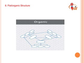 8. Flat/organic Structure
 