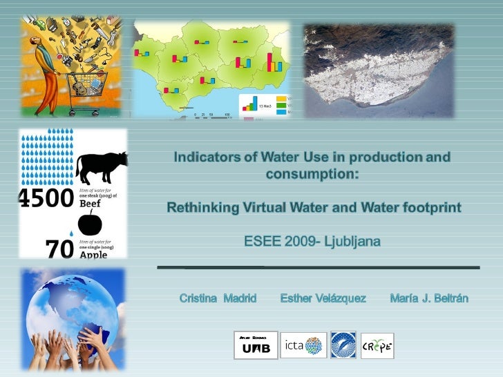 virtual water use