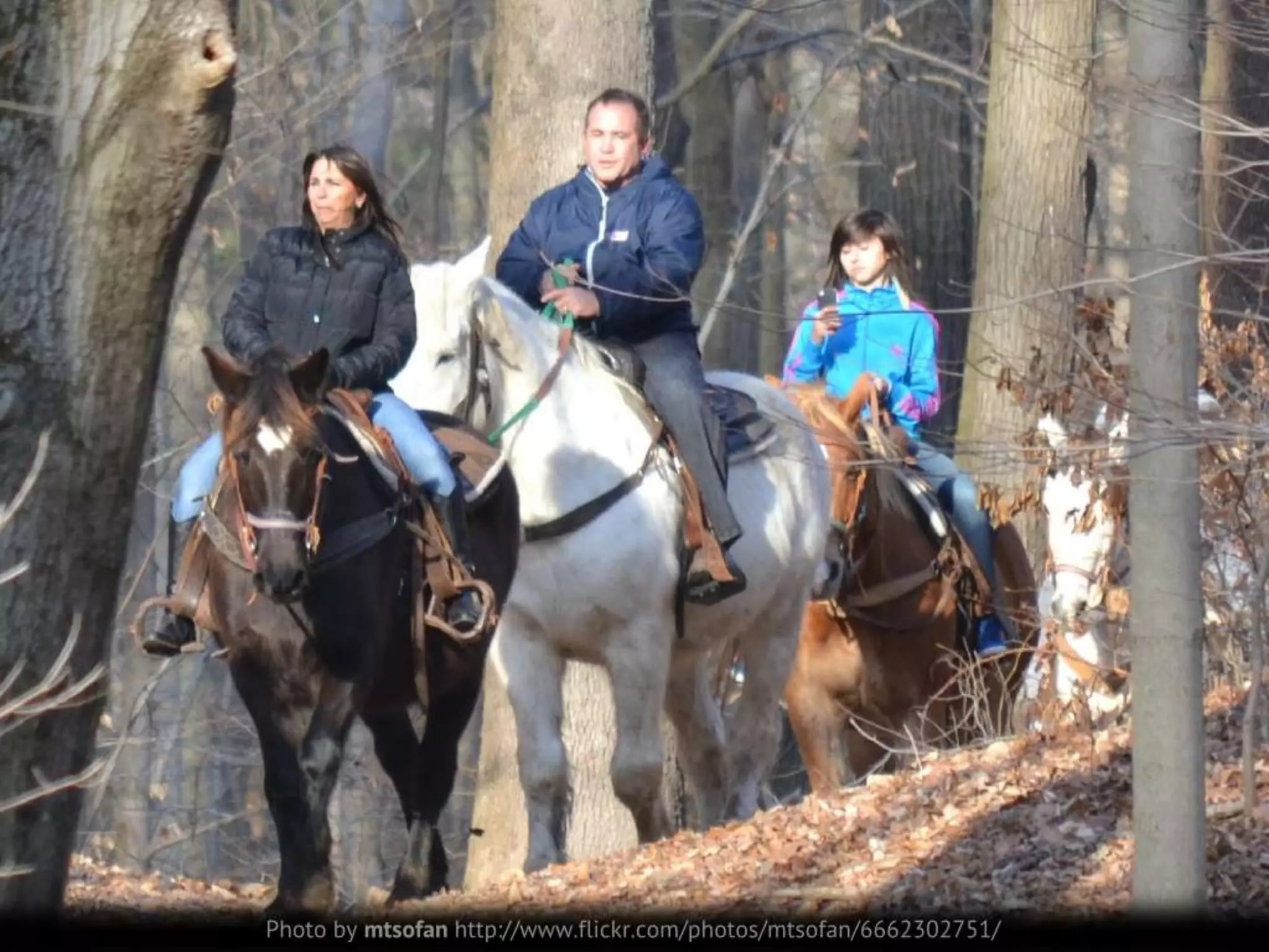 User Experience for Mobile (for Cambridge Mobile App Group)