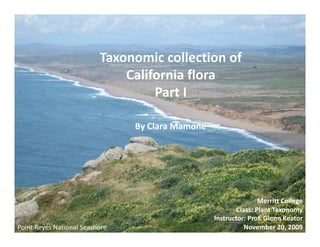 Taxonomic collection of 
                               California flora 
                                    Part I 

                                 By Clara Mamone 




                                                                    Merritt College 
                                                            Class: Plant Taxonomy 
                                                    Instructor: Prof. Glenn Keator 
Point Reyes National Seashore                                  November 20, 2009  
 