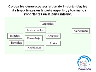 Coloca los conceptos por orden de importancia; los más importantes en la parte superior, y los menos importantes en la parte inferior. 