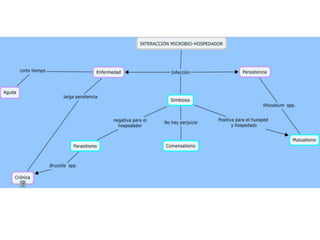 Cmap interacción microbio hospedador