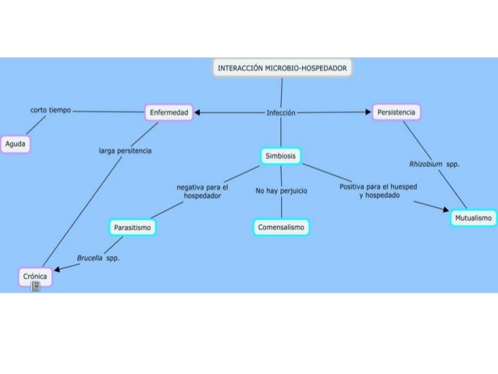 Cmap interacción microbio hospedador Cmap interacción microbio hospedador