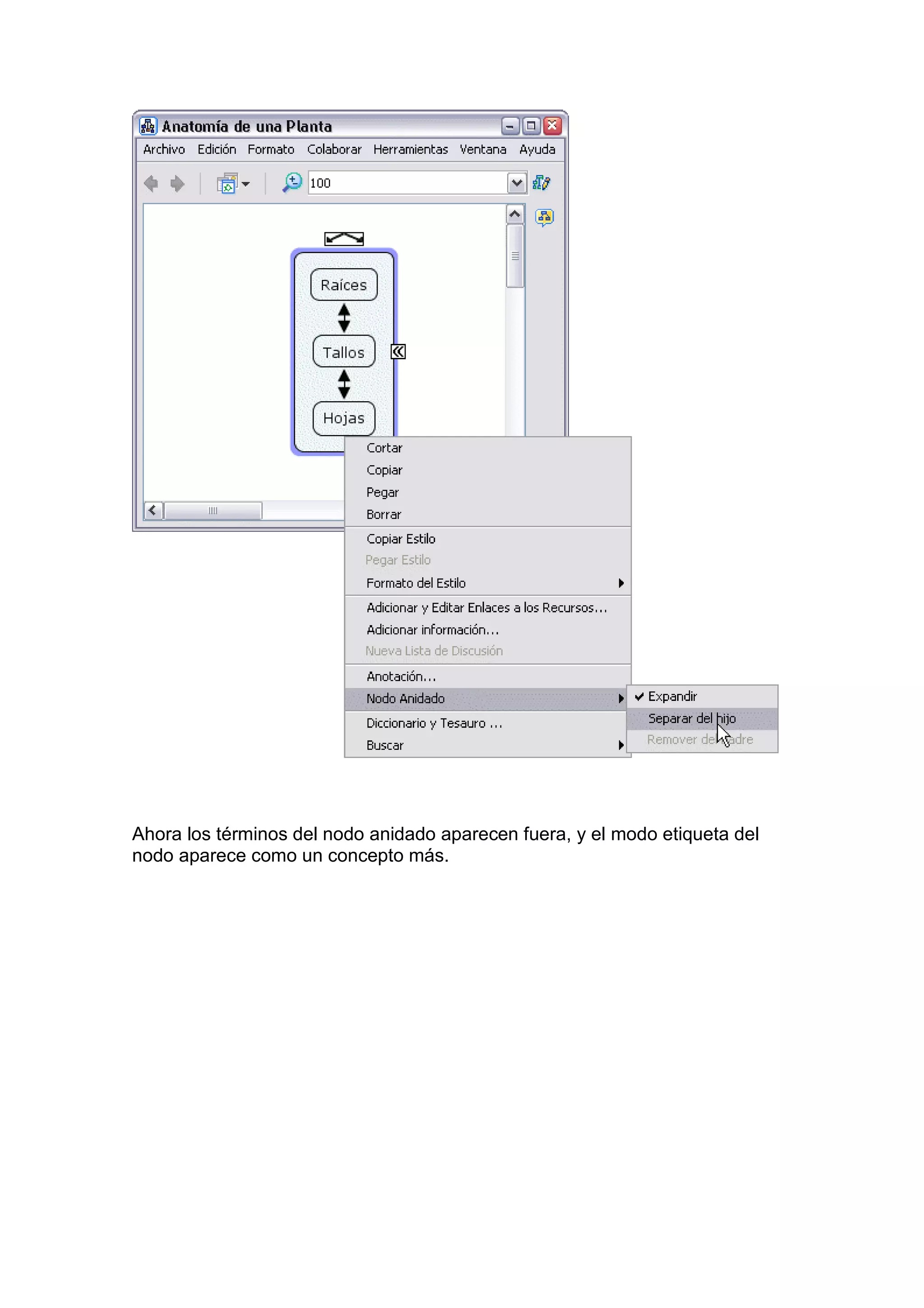 Ahora los términos del nodo anidado aparecen fuera, y el modo etiqueta del
nodo aparece como un concepto más.
 