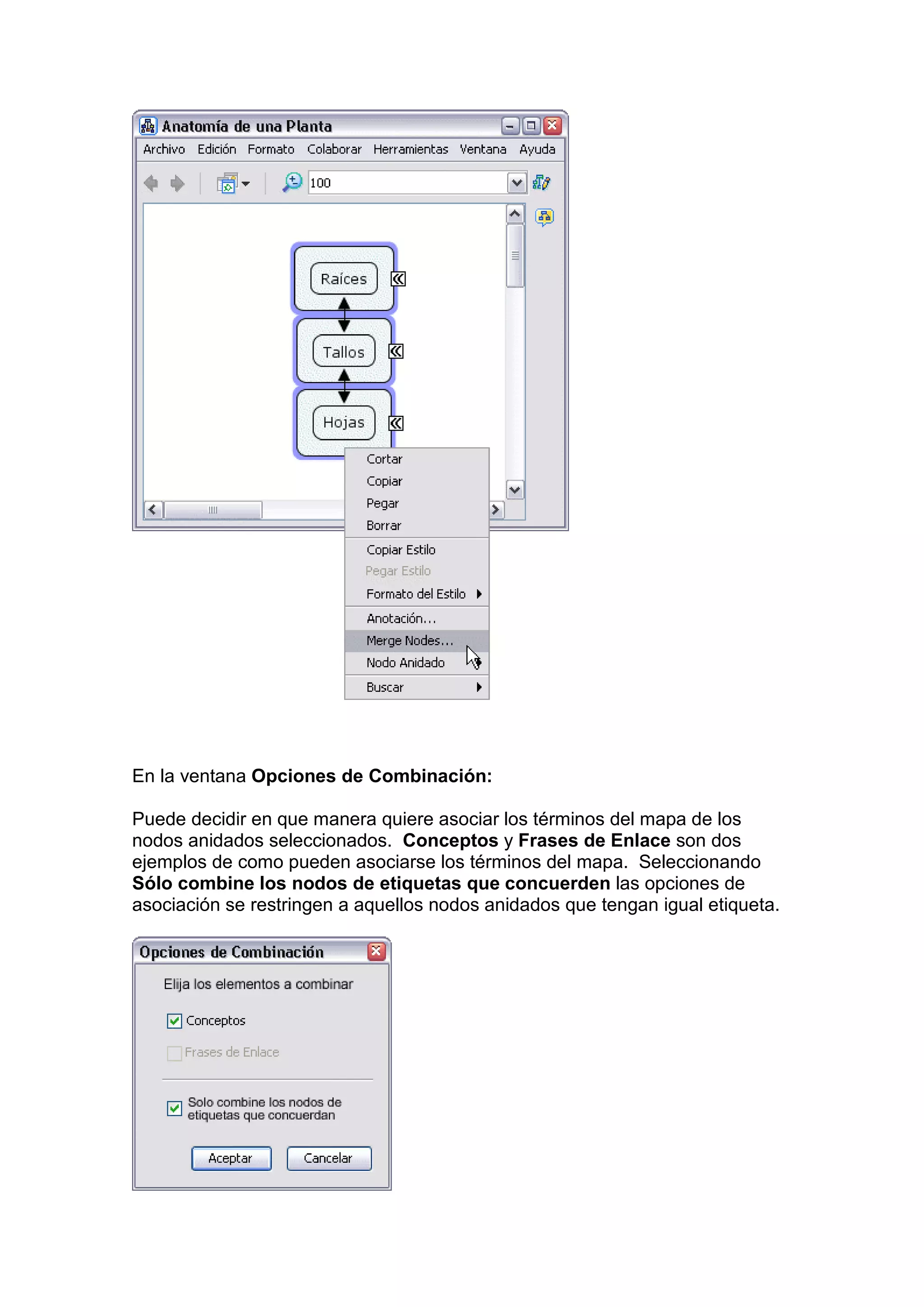 En la ventana Opciones de Combinación:

Puede decidir en que manera quiere asociar los términos del mapa de los
nodos anidados seleccionados. Conceptos y Frases de Enlace son dos
ejemplos de como pueden asociarse los términos del mapa. Seleccionando
Sólo combine los nodos de etiquetas que concuerden las opciones de
asociación se restringen a aquellos nodos anidados que tengan igual etiqueta.
 
