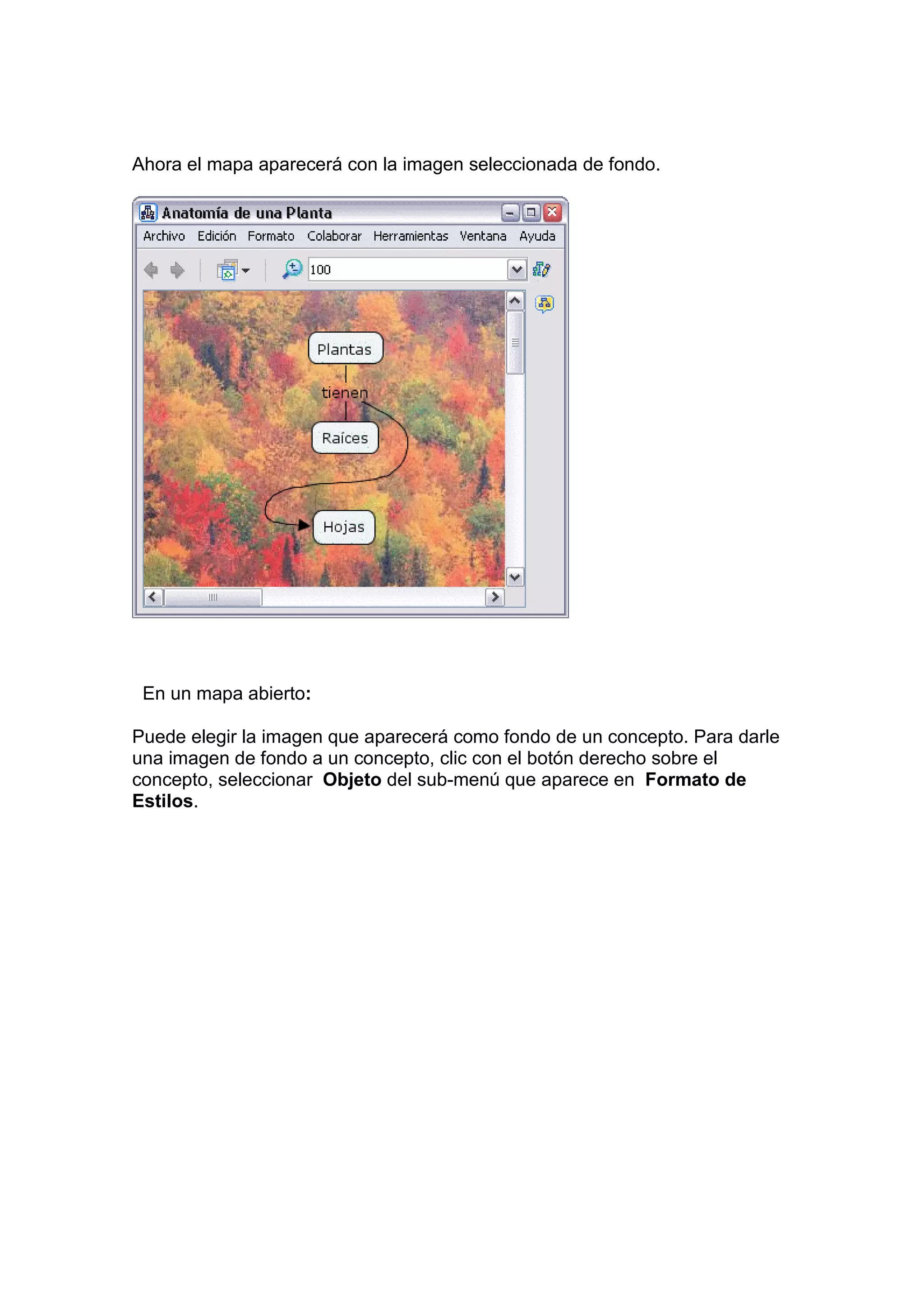 Ahora el mapa aparecerá con la imagen seleccionada de fondo.




 En un mapa abierto:

Puede elegir la imagen que aparecerá como fondo de un concepto. Para darle
una imagen de fondo a un concepto, clic con el botón derecho sobre el
concepto, seleccionar Objeto del sub-menú que aparece en Formato de
Estilos.
 