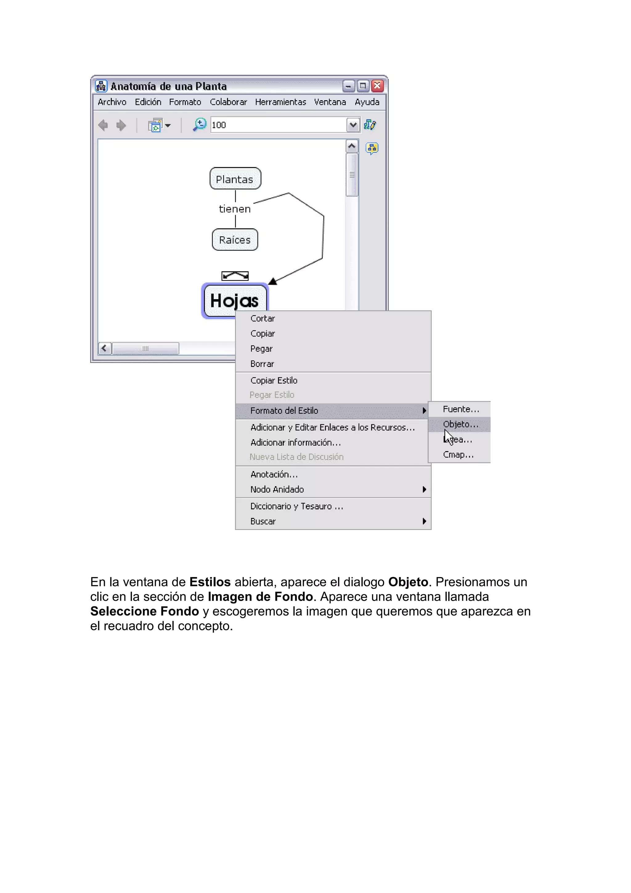 En la ventana de Estilos abierta, aparece el dialogo Objeto. Presionamos un
clic en la sección de Imagen de Fondo. Aparece una ventana llamada
Seleccione Fondo y escogeremos la imagen que queremos que aparezca en
el recuadro del concepto.
 