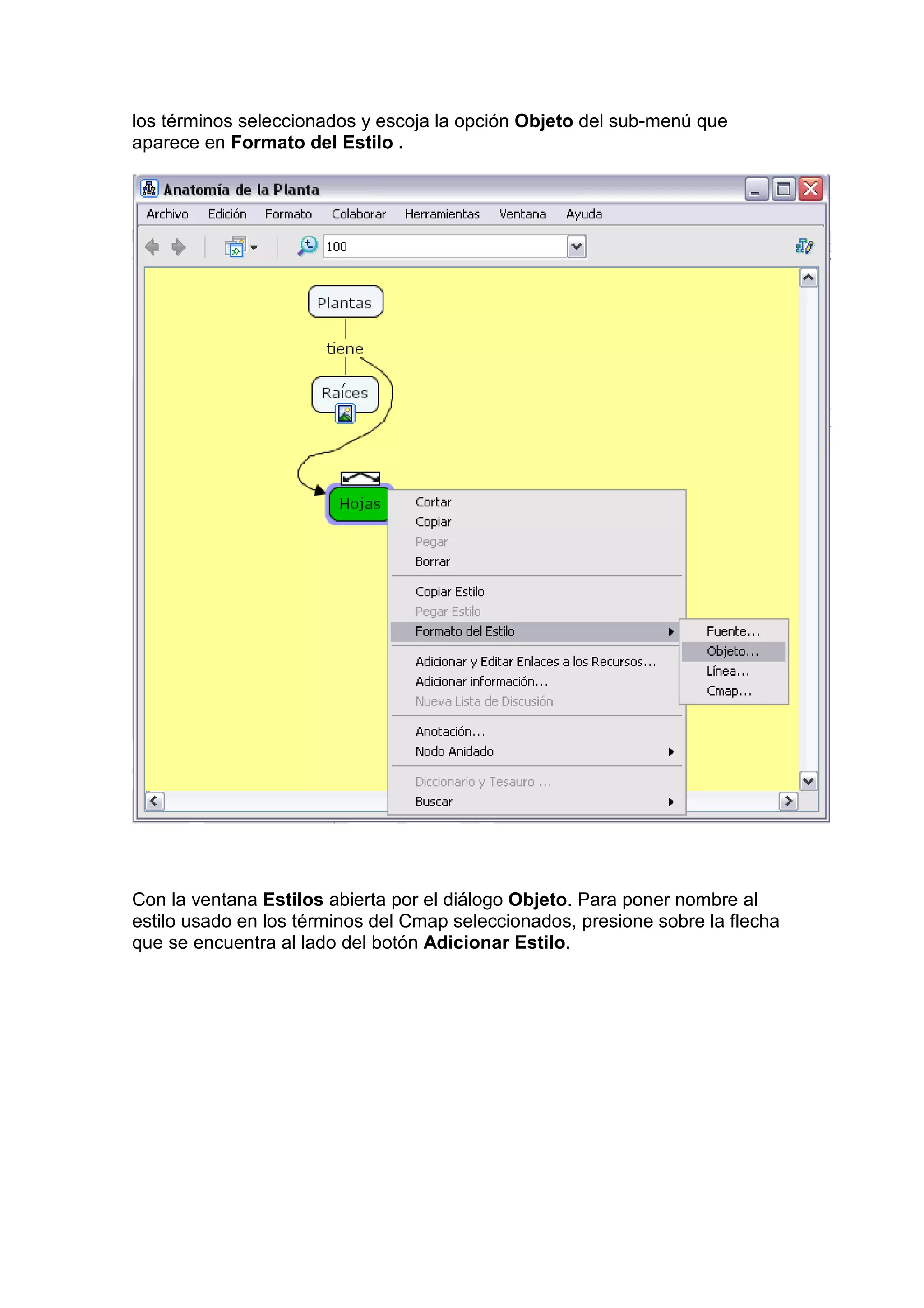 los términos seleccionados y escoja la opción Objeto del sub-menú que
aparece en Formato del Estilo .




Con la ventana Estilos abierta por el diálogo Objeto. Para poner nombre al
estilo usado en los términos del Cmap seleccionados, presione sobre la flecha
que se encuentra al lado del botón Adicionar Estilo.
 