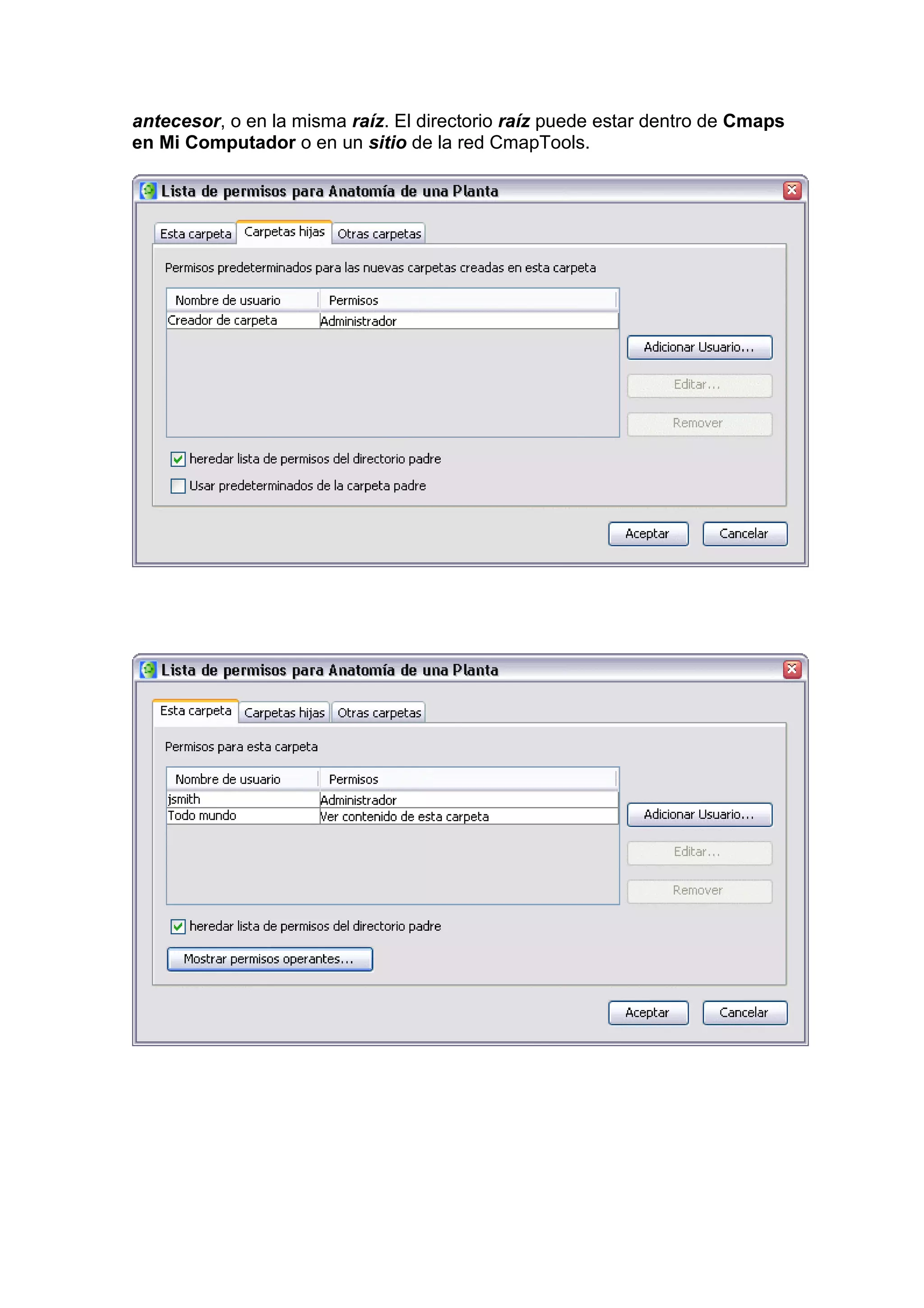 antecesor, o en la misma raíz. El directorio raíz puede estar dentro de Cmaps
en Mi Computador o en un sitio de la red CmapTools.
 
