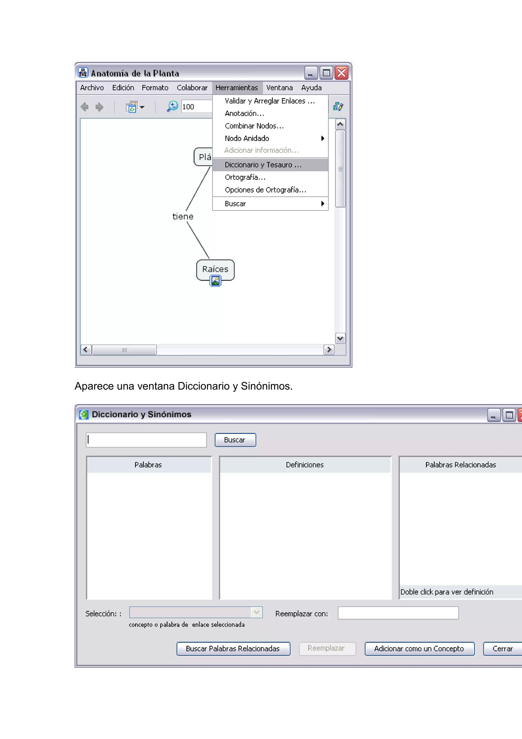 Aparece una ventana Diccionario y Sinónimos.
 