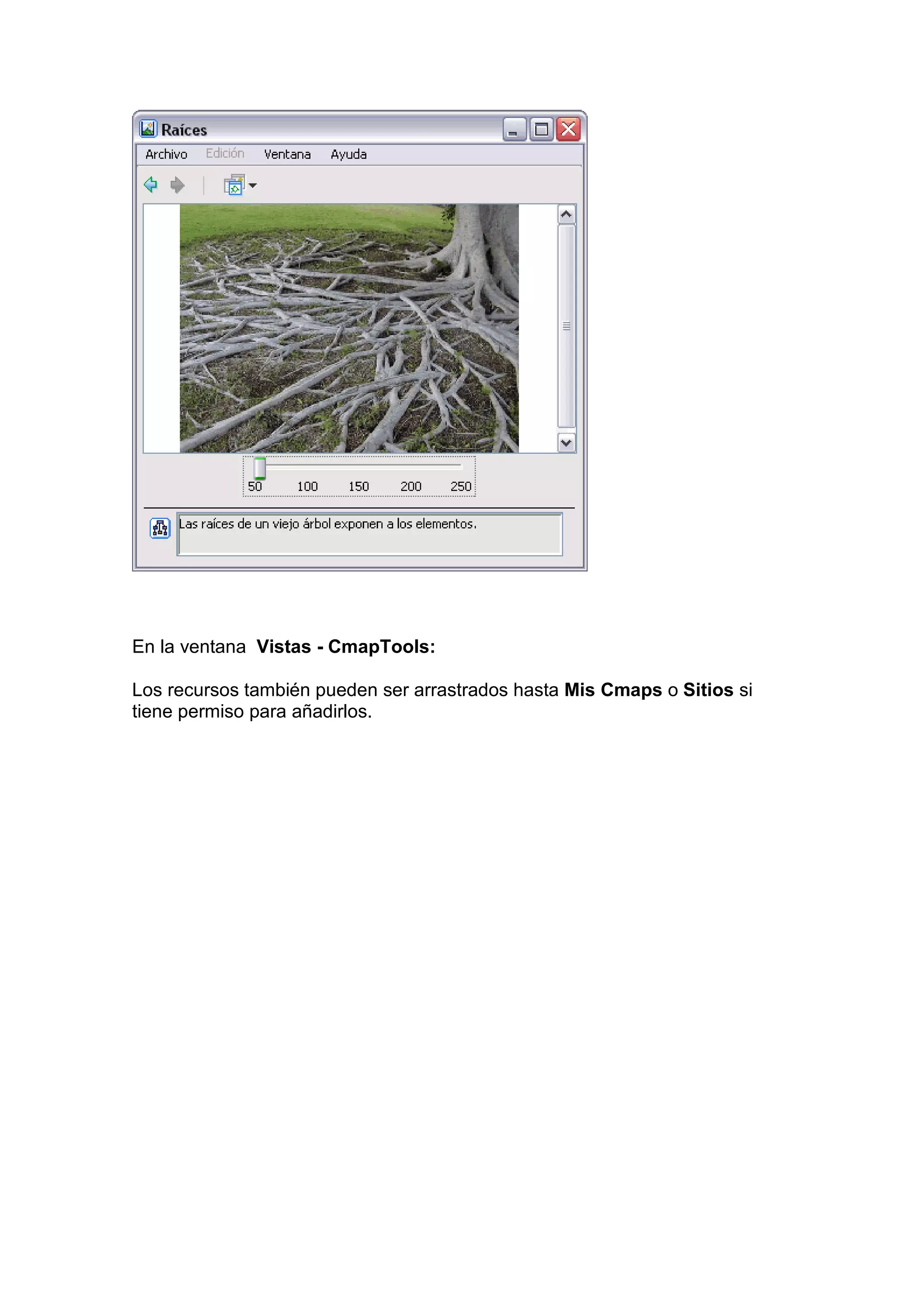 En la ventana Vistas - CmapTools:

Los recursos también pueden ser arrastrados hasta Mis Cmaps o Sitios si
tiene permiso para añadirlos.
 