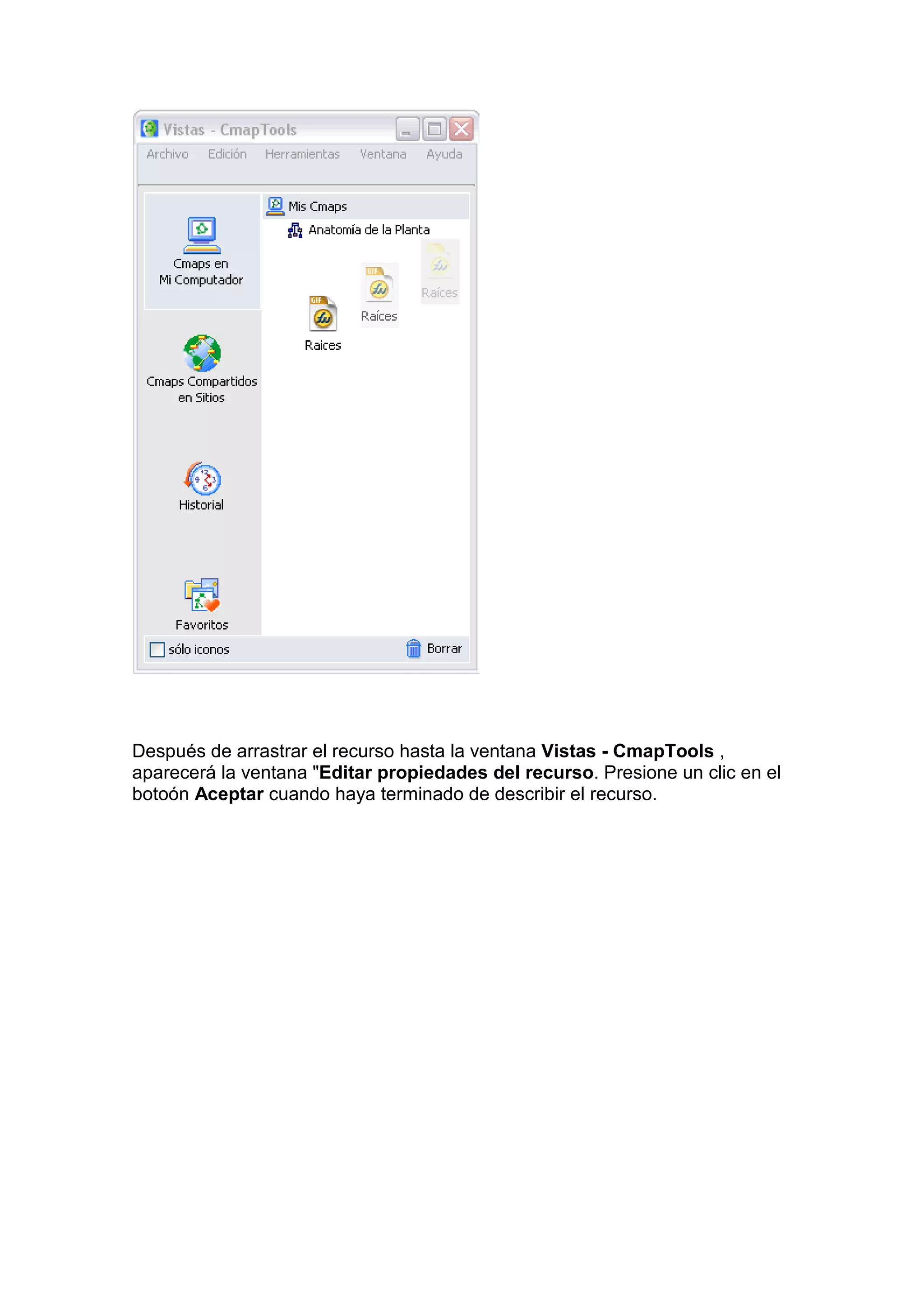 Después de arrastrar el recurso hasta la ventana Vistas - CmapTools ,
aparecerá la ventana "Editar propiedades del recurso. Presione un clic en el
botoón Aceptar cuando haya terminado de describir el recurso.
 