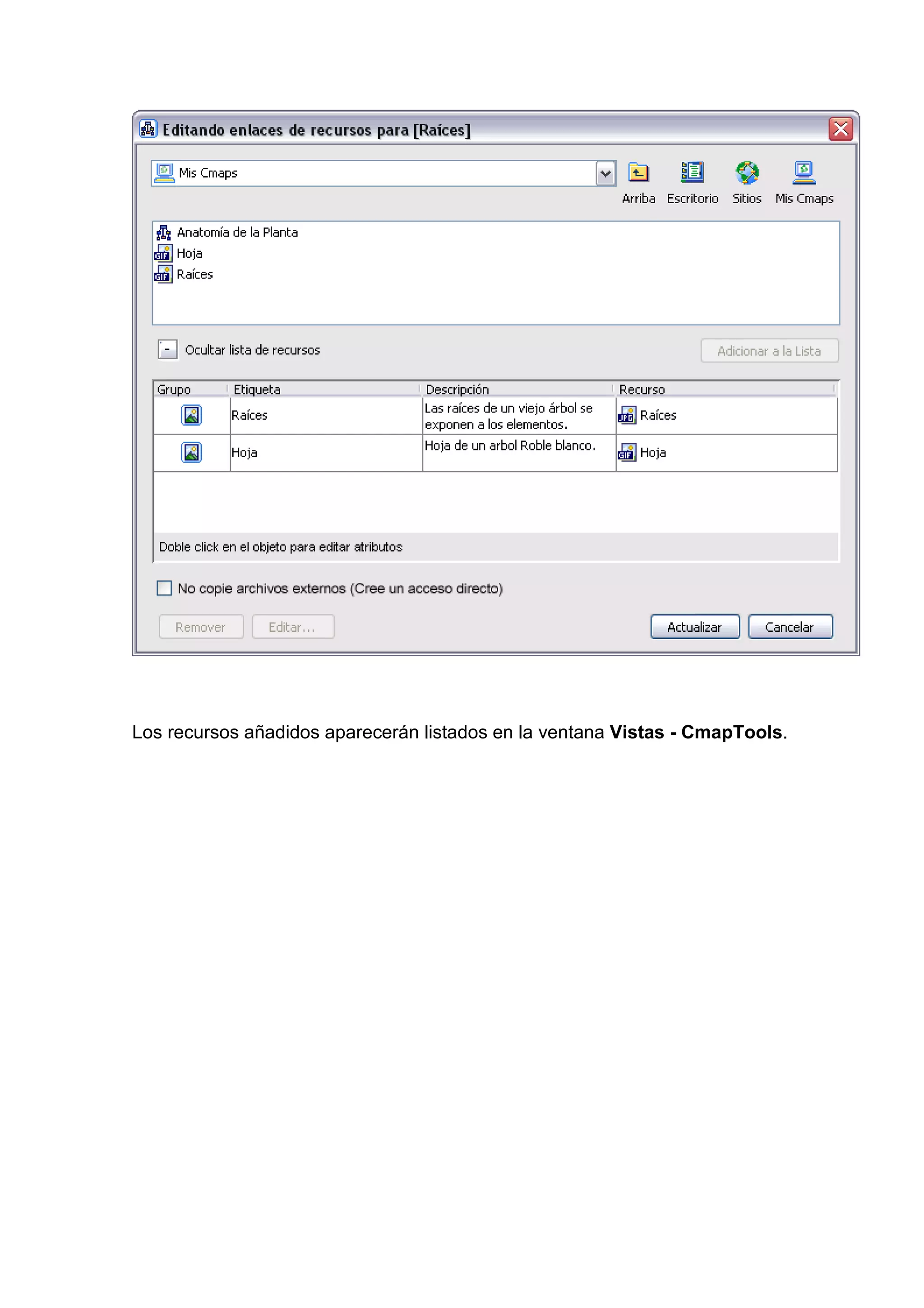 Los recursos añadidos aparecerán listados en la ventana Vistas - CmapTools.
 