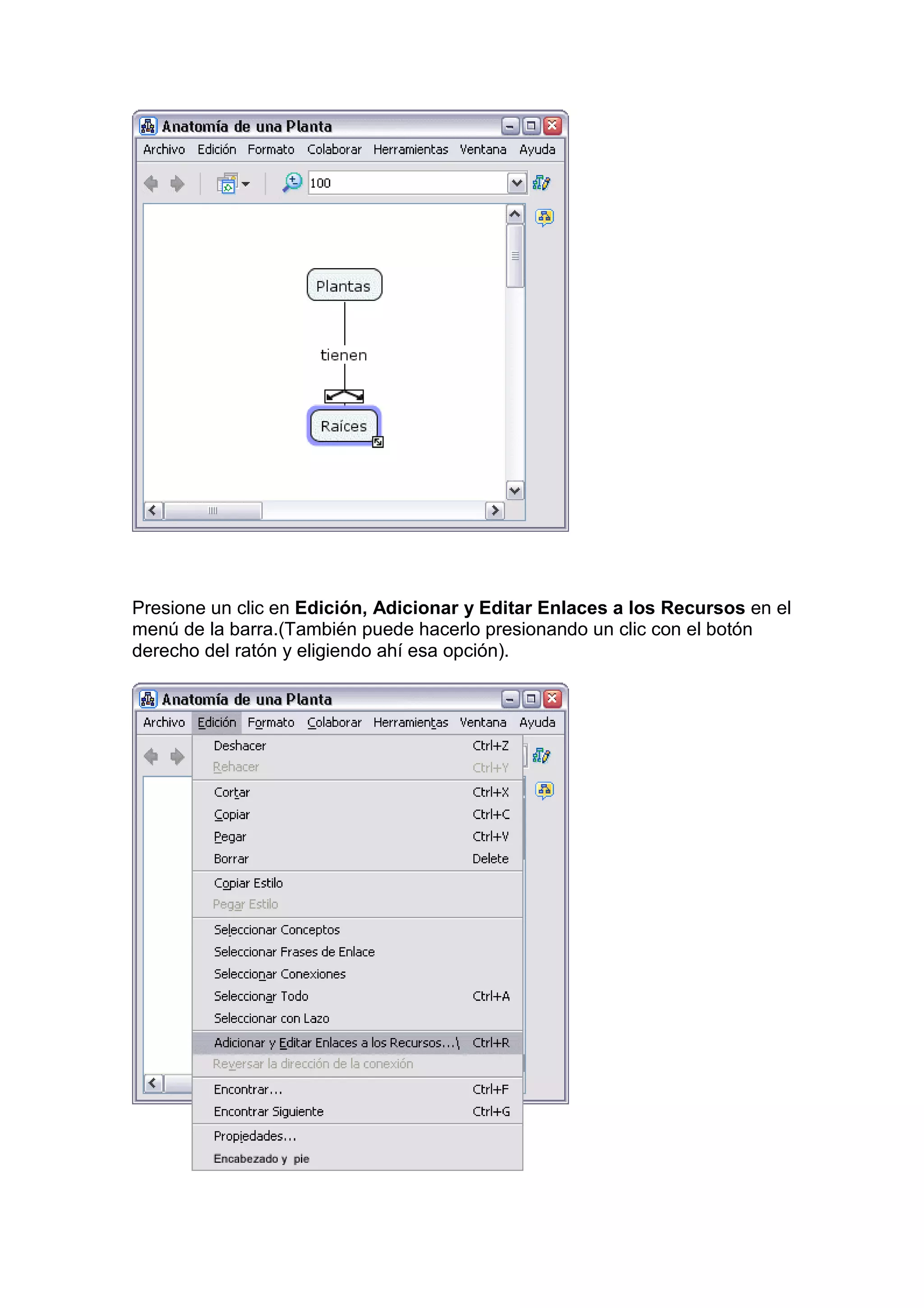 Presione un clic en Edición, Adicionar y Editar Enlaces a los Recursos en el
menú de la barra.(También puede hacerlo presionando un clic con el botón
derecho del ratón y eligiendo ahí esa opción).
 