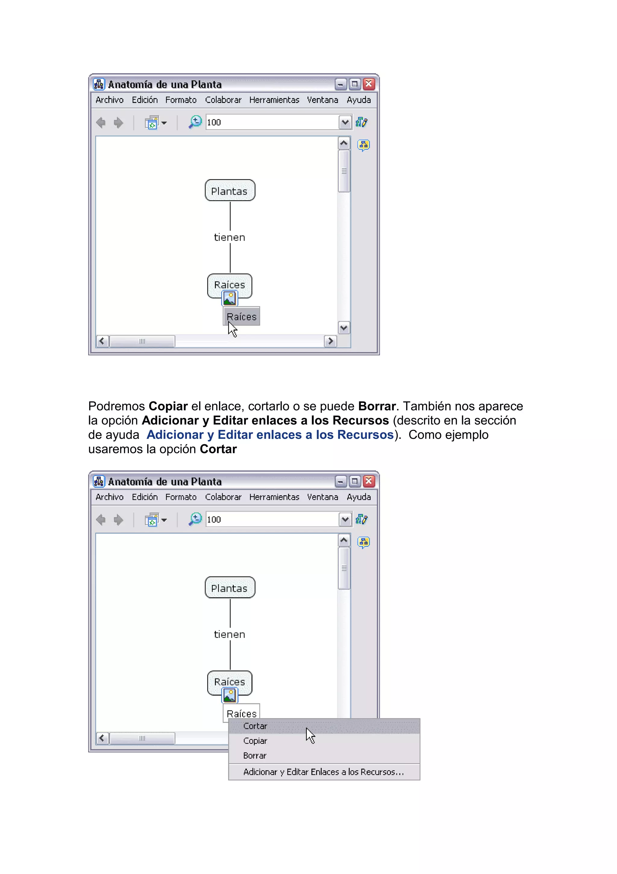 Podremos Copiar el enlace, cortarlo o se puede Borrar. También nos aparece
la opción Adicionar y Editar enlaces a los Recursos (descrito en la sección
de ayuda Adicionar y Editar enlaces a los Recursos). Como ejemplo
usaremos la opción Cortar
 
