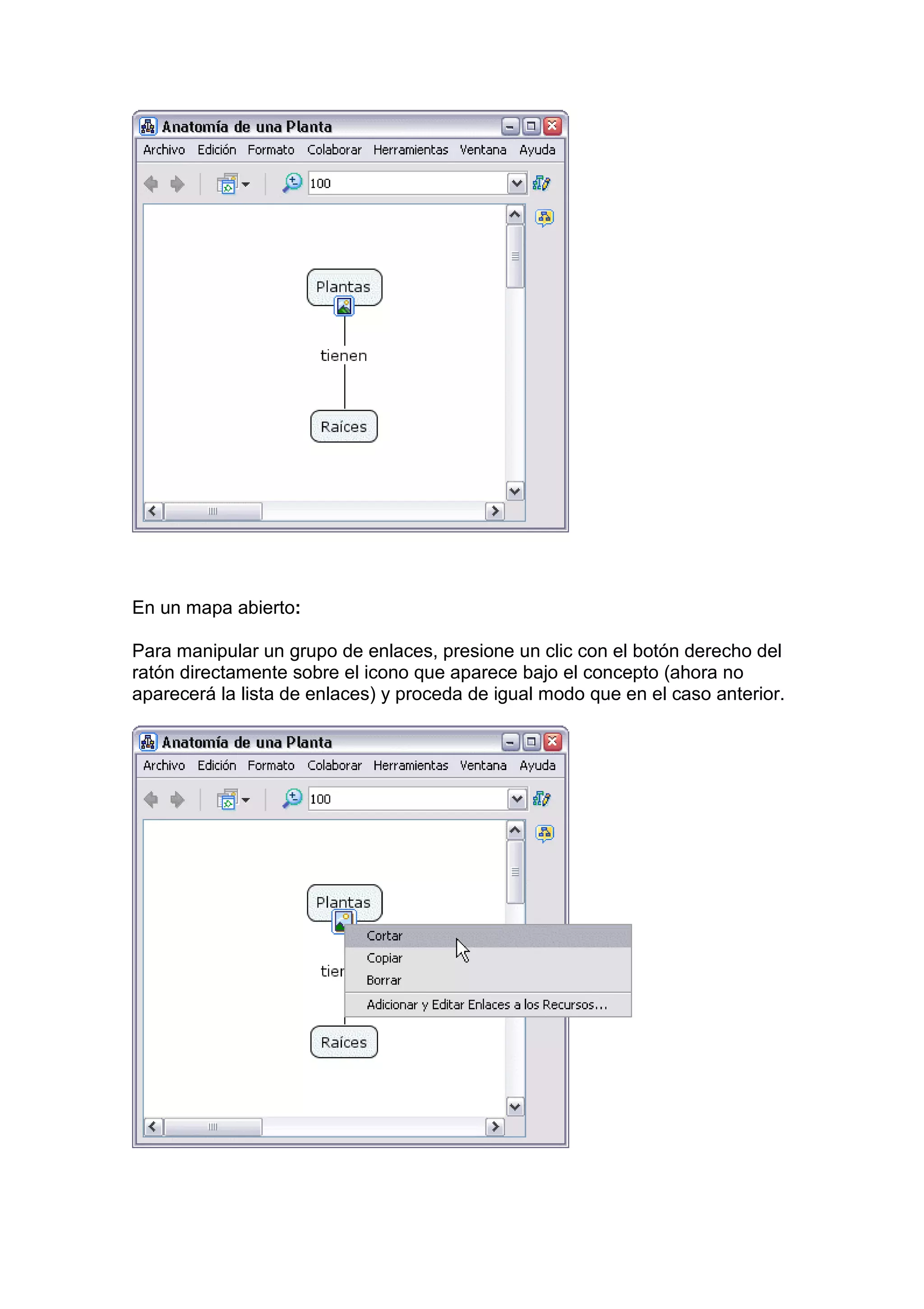 En un mapa abierto:

Para manipular un grupo de enlaces, presione un clic con el botón derecho del
ratón directamente sobre el icono que aparece bajo el concepto (ahora no
aparecerá la lista de enlaces) y proceda de igual modo que en el caso anterior.
 