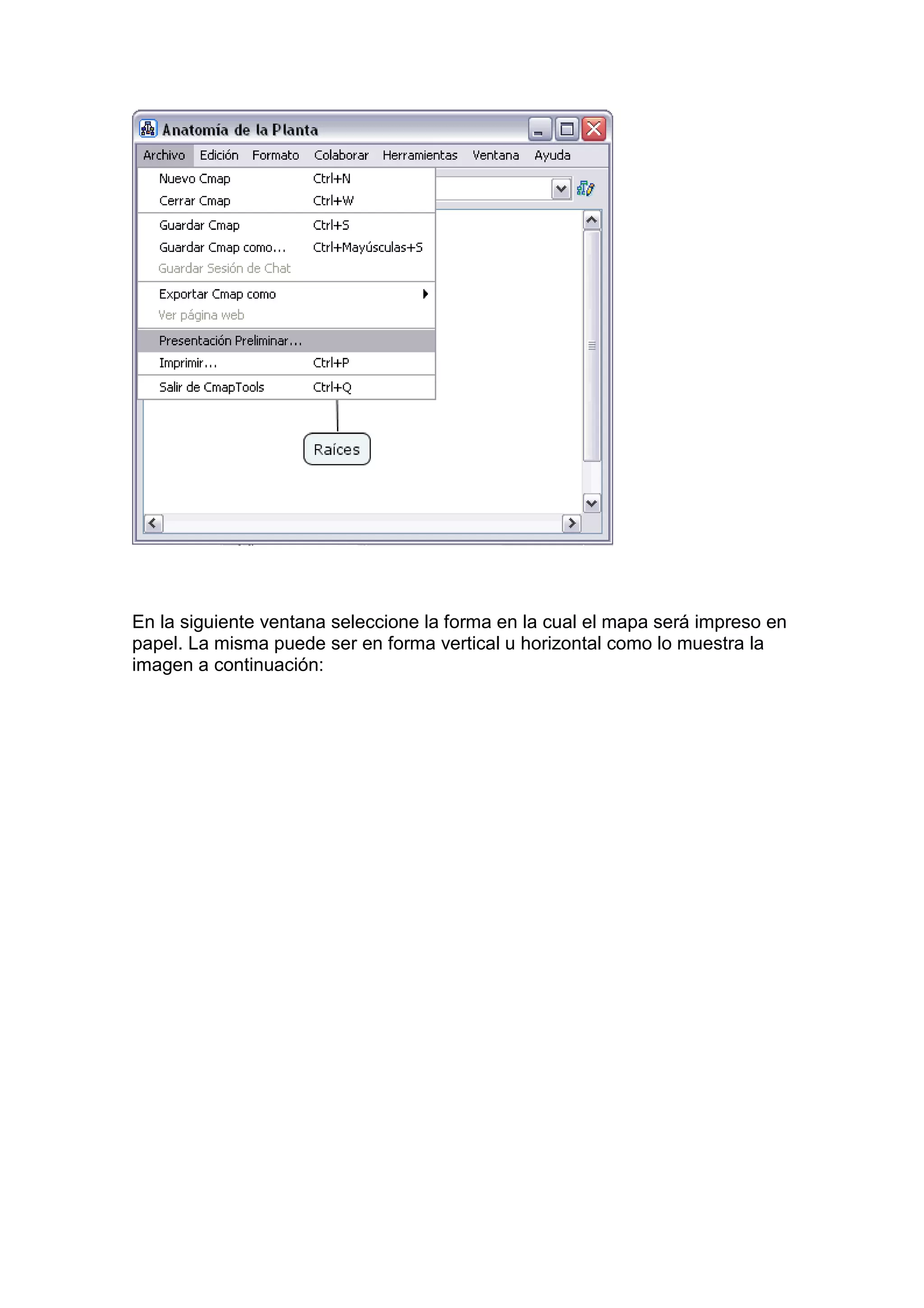 En la siguiente ventana seleccione la forma en la cual el mapa será impreso en
papel. La misma puede ser en forma vertical u horizontal como lo muestra la
imagen a continuación:
 