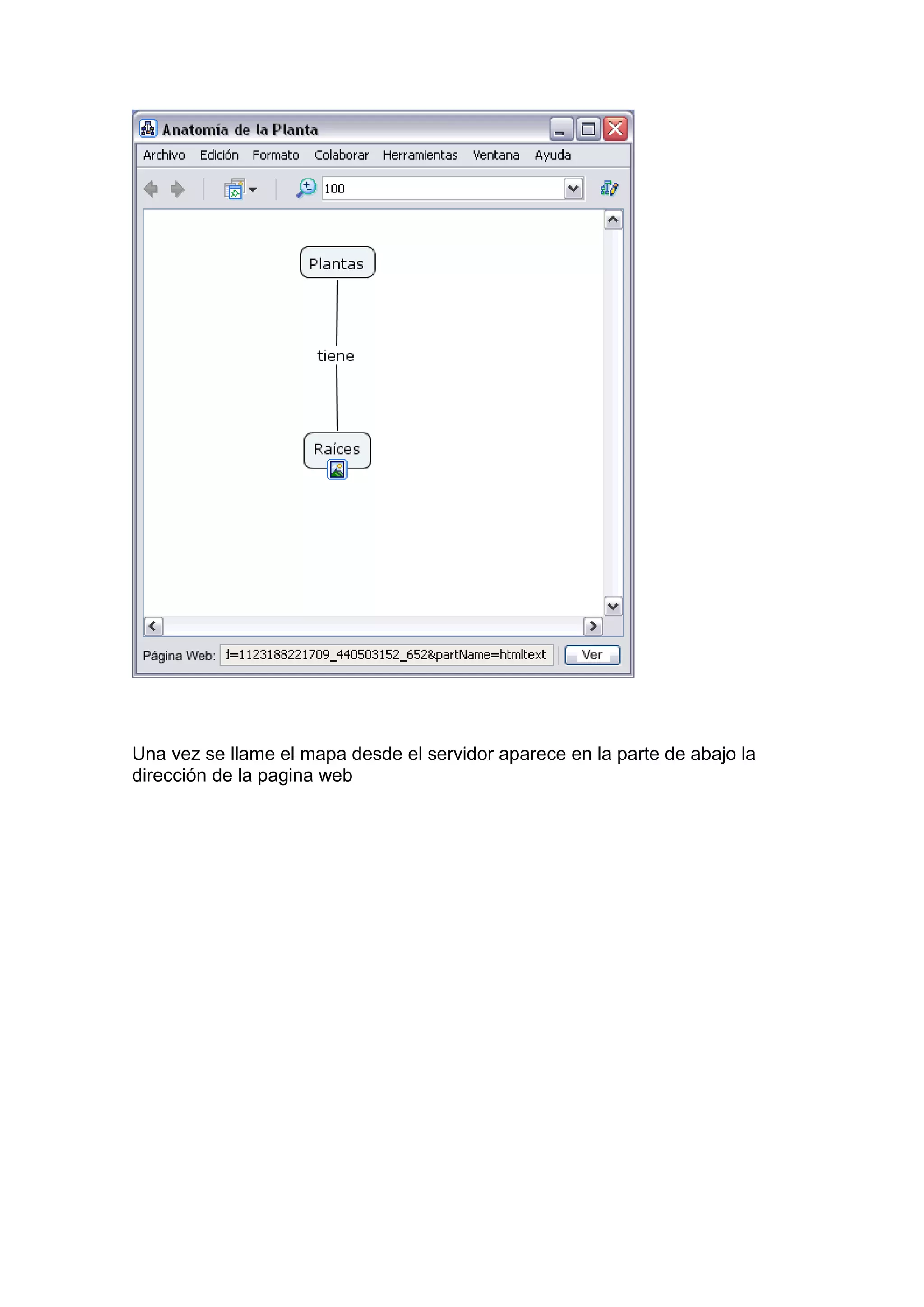 Una vez se llame el mapa desde el servidor aparece en la parte de abajo la
dirección de la pagina web
 