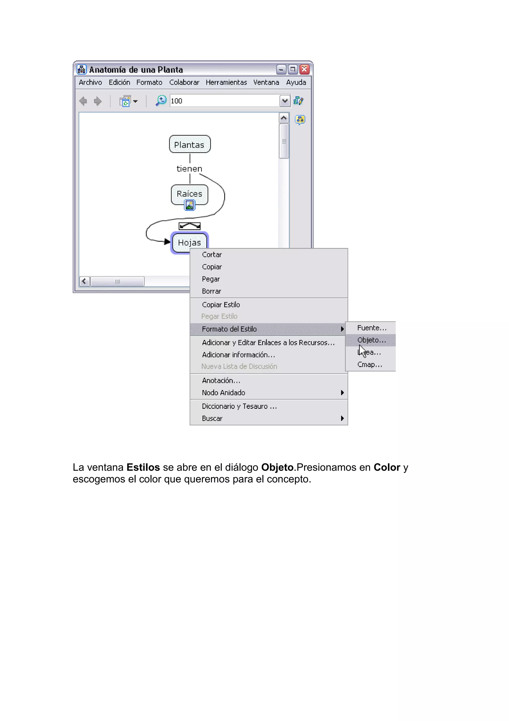 La ventana Estilos se abre en el diálogo Objeto.Presionamos en Color y
escogemos el color que queremos para el concepto.
 