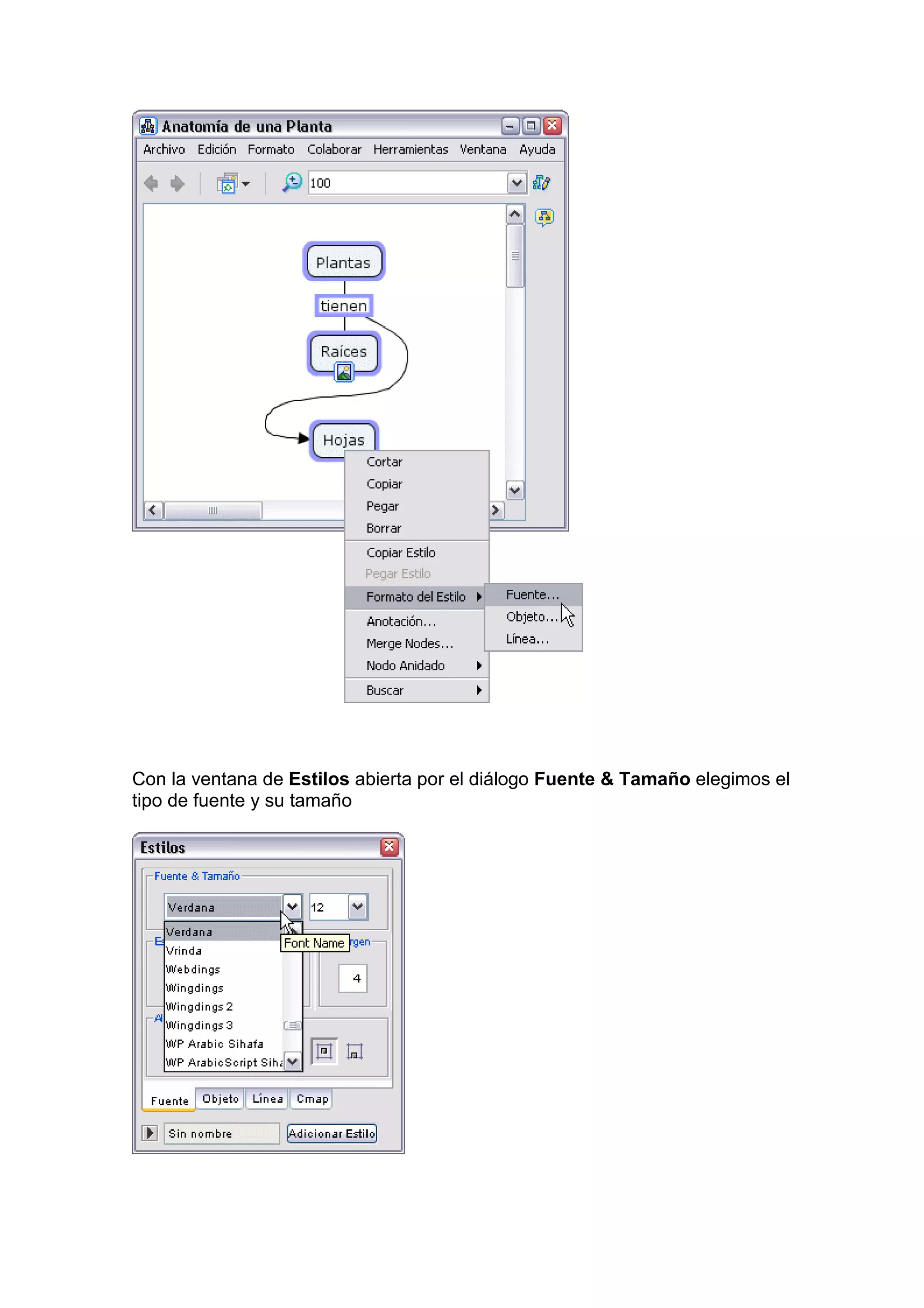 Con la ventana de Estilos abierta por el diálogo Fuente & Tamaño elegimos el
tipo de fuente y su tamaño
 