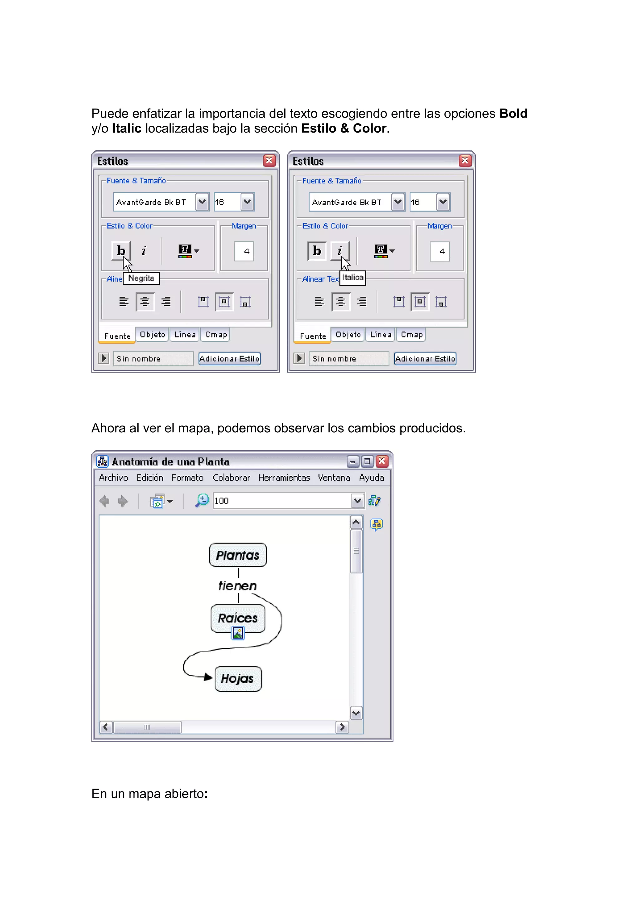 Puede enfatizar la importancia del texto escogiendo entre las opciones Bold
y/o Italic localizadas bajo la sección Estilo & Color.




Ahora al ver el mapa, podemos observar los cambios producidos.




En un mapa abierto:
 