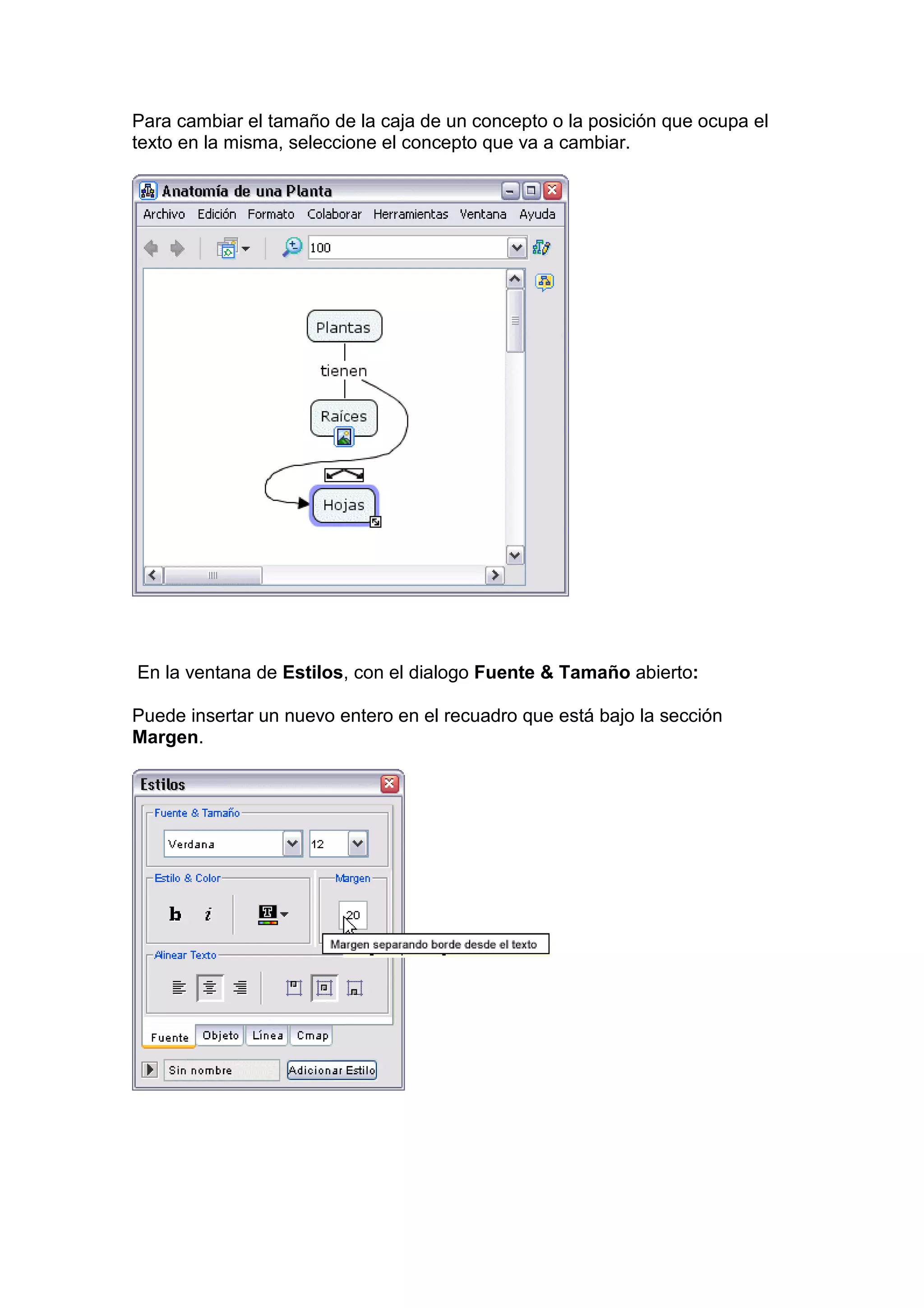 Para cambiar el tamaño de la caja de un concepto o la posición que ocupa el
texto en la misma, seleccione el concepto que va a cambiar.




En la ventana de Estilos, con el dialogo Fuente & Tamaño abierto:

Puede insertar un nuevo entero en el recuadro que está bajo la sección
Margen.
 