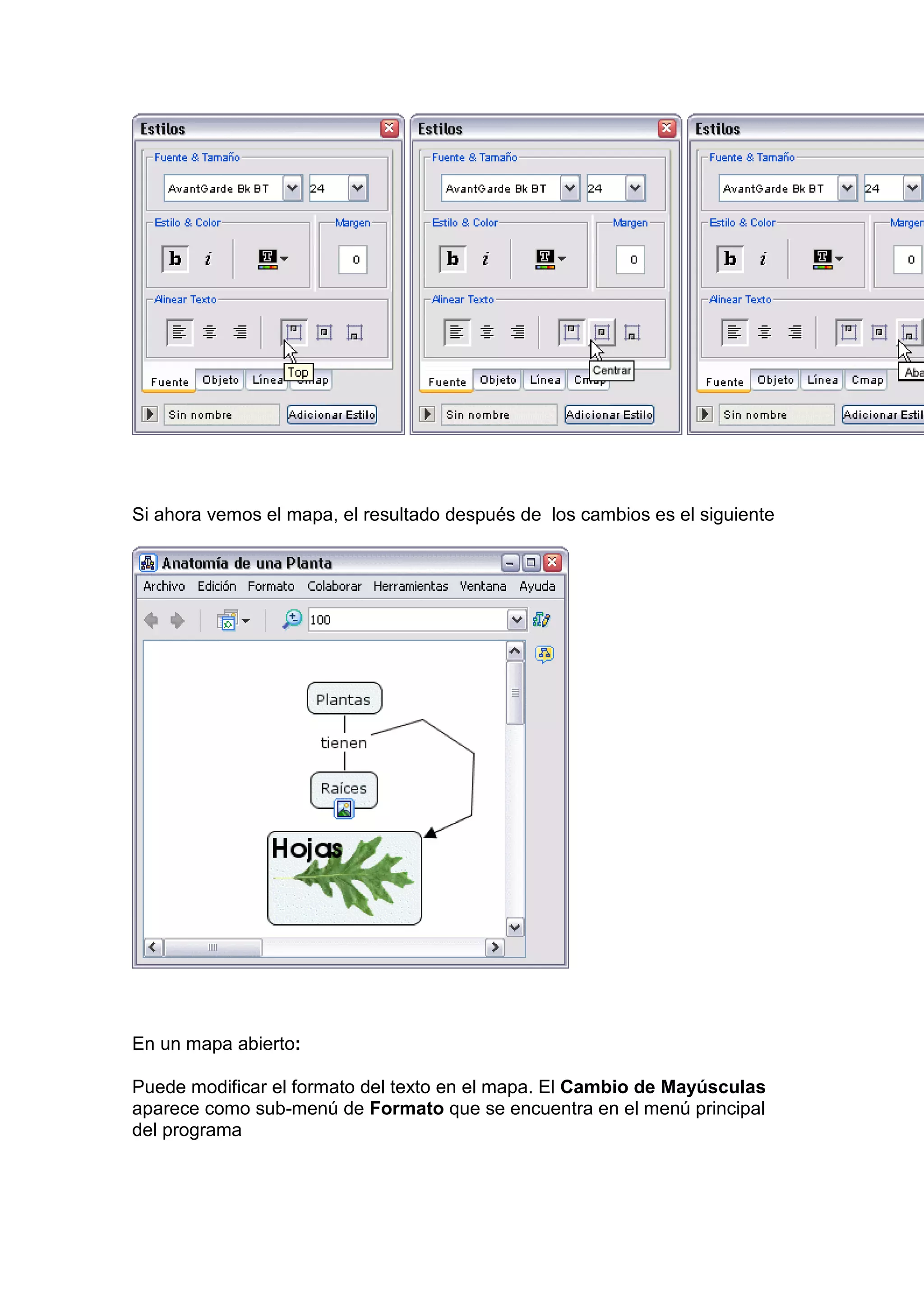 Si ahora vemos el mapa, el resultado después de los cambios es el siguiente




En un mapa abierto:

Puede modificar el formato del texto en el mapa. El Cambio de Mayúsculas
aparece como sub-menú de Formato que se encuentra en el menú principal
del programa
 
