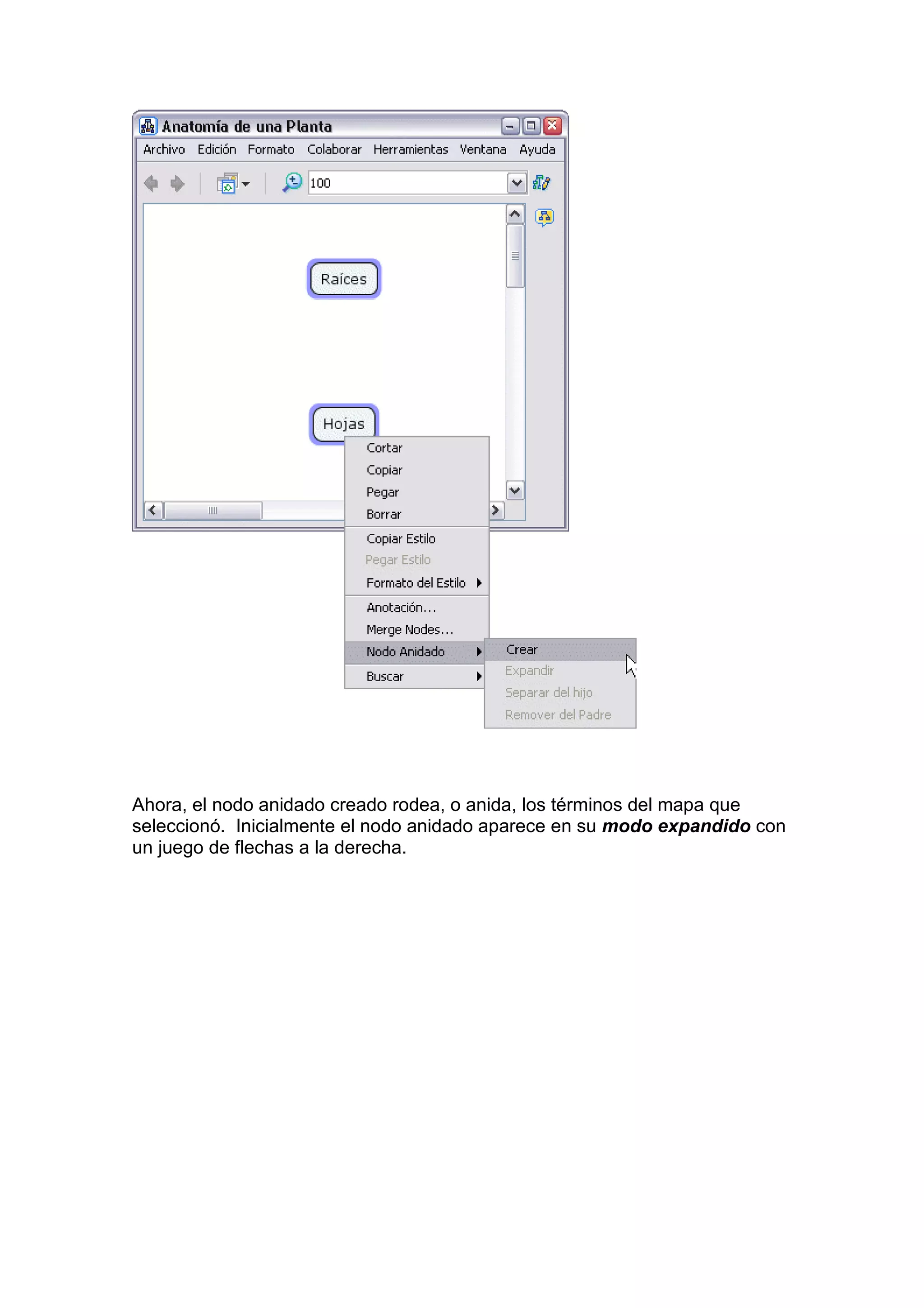 Ahora, el nodo anidado creado rodea, o anida, los términos del mapa que
seleccionó. Inicialmente el nodo anidado aparece en su modo expandido con
un juego de flechas a la derecha.
 