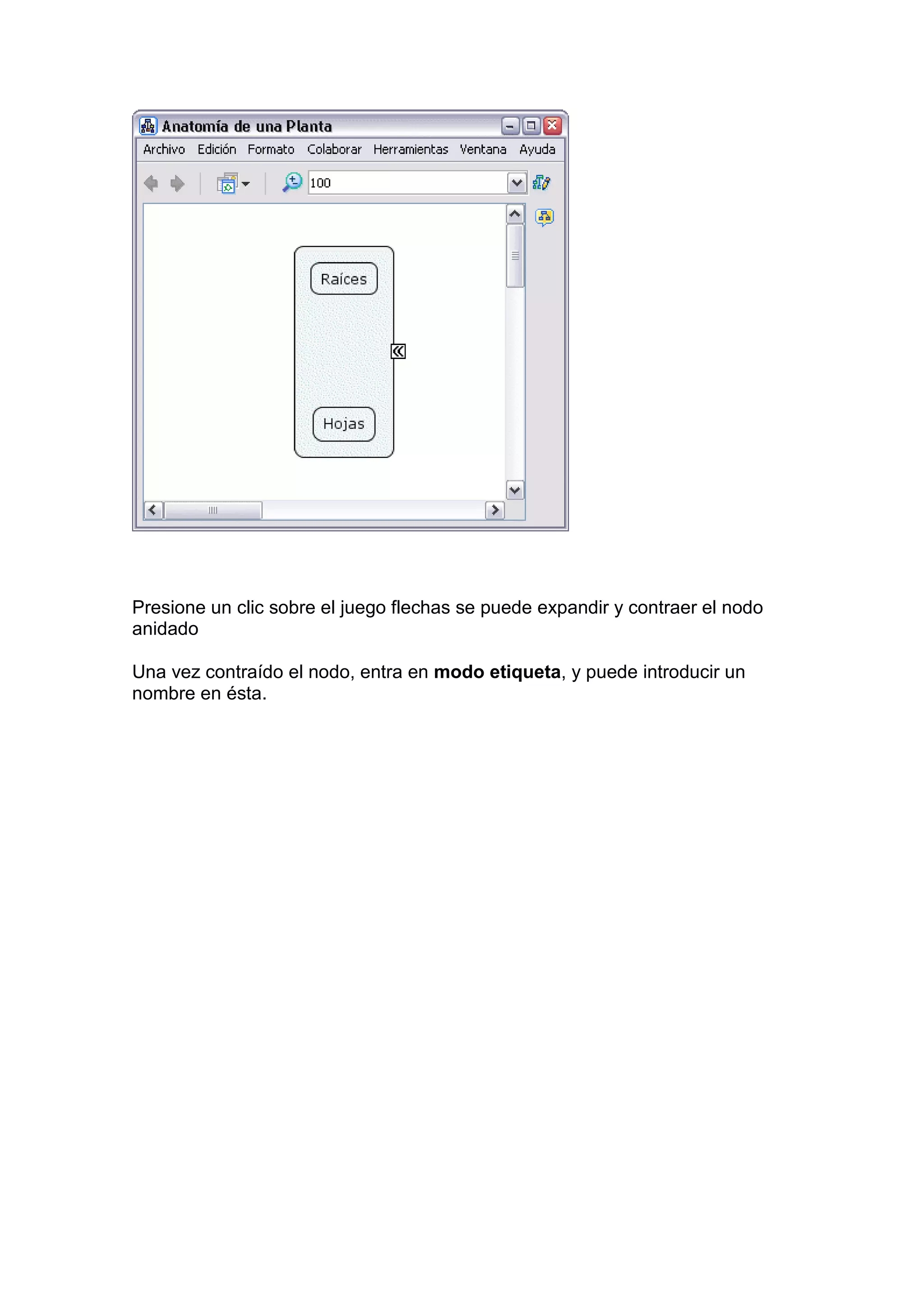 Presione un clic sobre el juego flechas se puede expandir y contraer el nodo
anidado

Una vez contraído el nodo, entra en modo etiqueta, y puede introducir un
nombre en ésta.
 