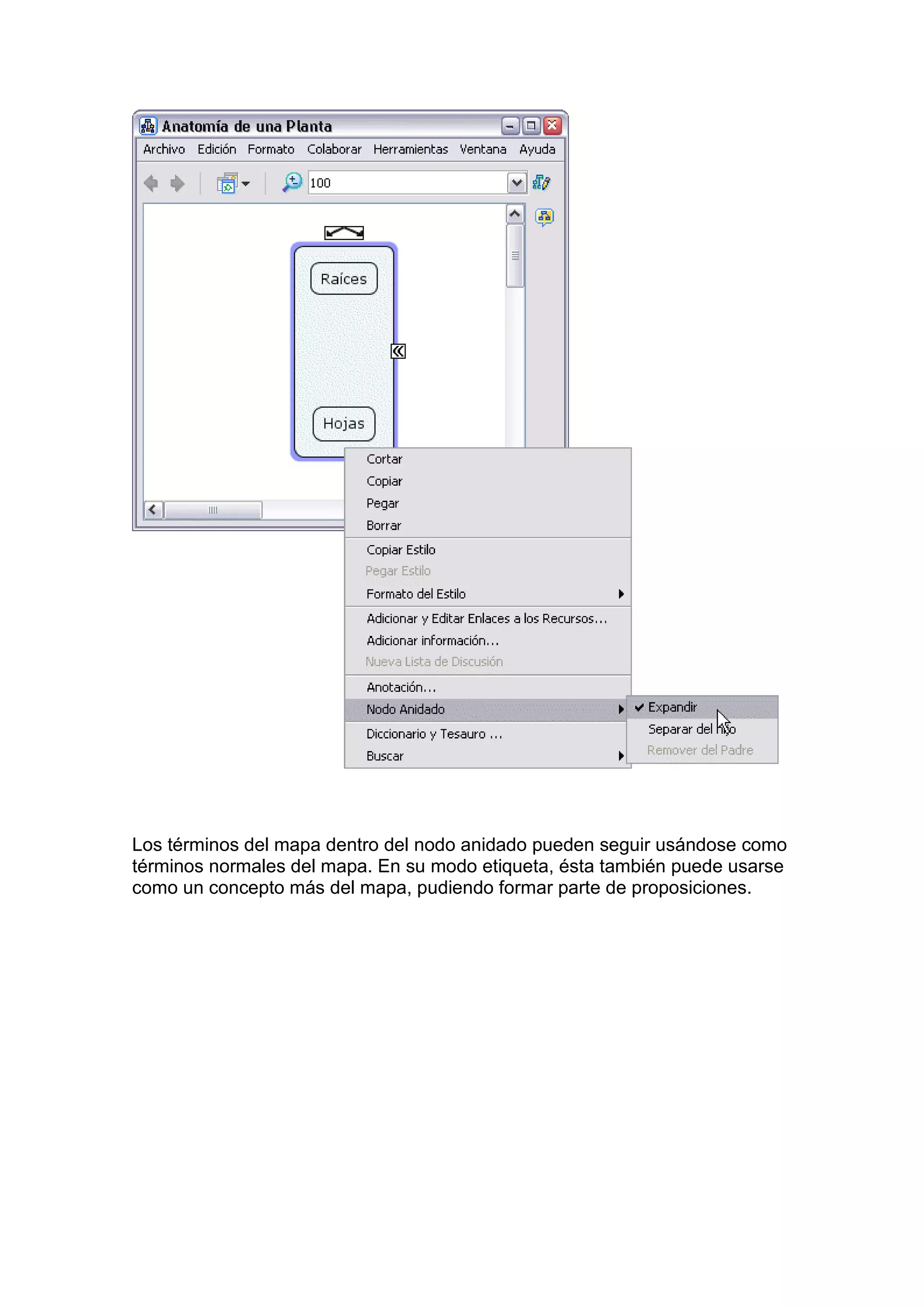Los términos del mapa dentro del nodo anidado pueden seguir usándose como
términos normales del mapa. En su modo etiqueta, ésta también puede usarse
como un concepto más del mapa, pudiendo formar parte de proposiciones.
 