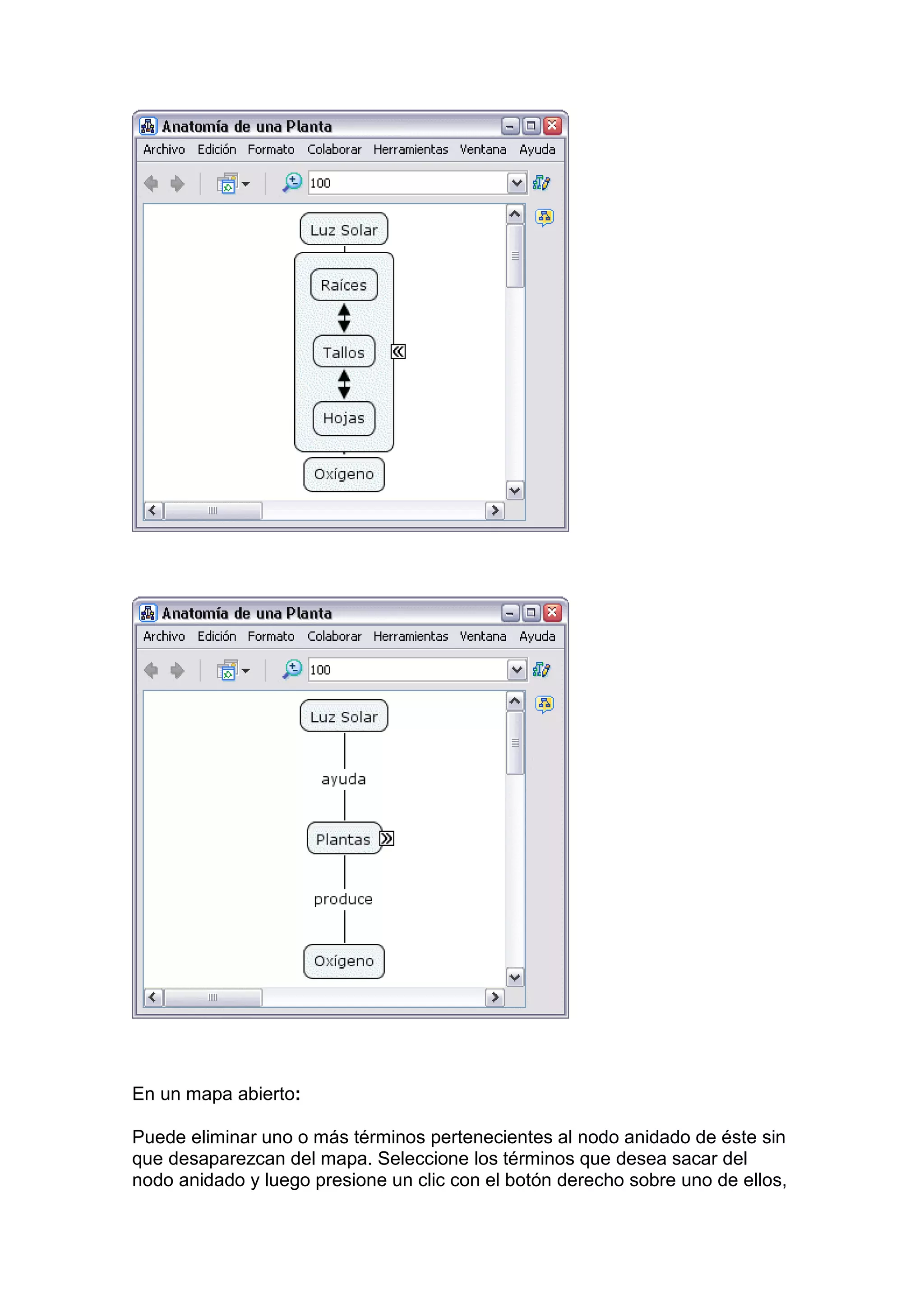 En un mapa abierto:

Puede eliminar uno o más términos pertenecientes al nodo anidado de éste sin
que desaparezcan del mapa. Seleccione los términos que desea sacar del
nodo anidado y luego presione un clic con el botón derecho sobre uno de ellos,
 