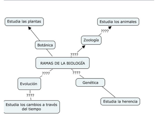 Mapa Mental De Ramas De La Biologia Omfc