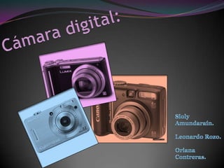 Cámara digital: Sioly Amundaraín. Leonardo Rozo. Oriana Contreras. 