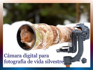 Cámara digital para
fotografía de vida silvestre
 