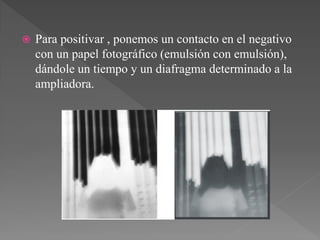    Para positivar , ponemos un contacto en el negativo
    con un papel fotográfico (emulsión con emulsión),
    dándole un tiempo y un diafragma determinado a la
    ampliadora.
 
