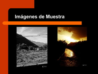 Imágenes de Muestra
 