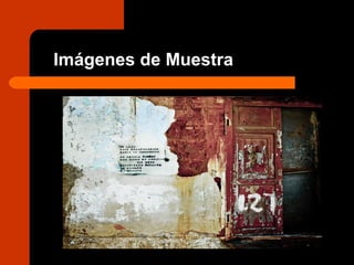 Imágenes de Muestra
 