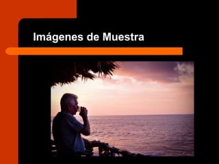 Imágenes de Muestra
 