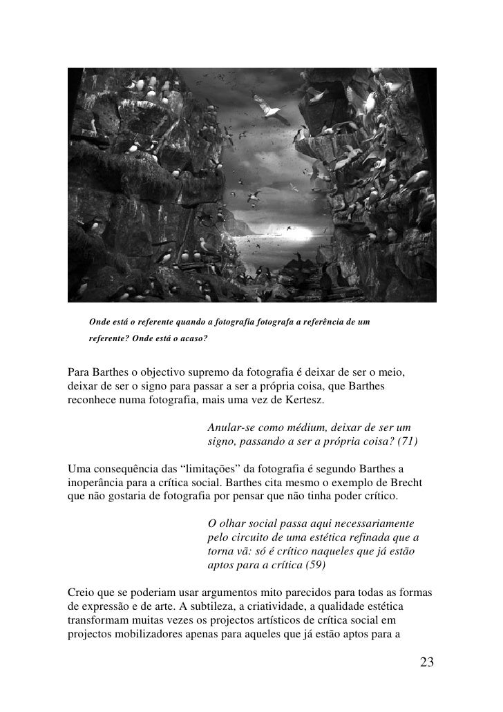 camera obscura barthes camera obscura barthes