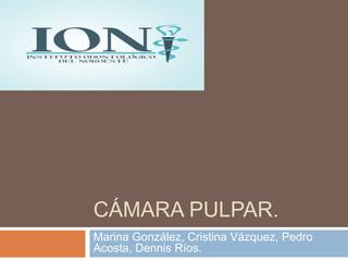 CÁMARA PULPAR.
Marina González, Cristina Vázquez, Pedro
Acosta, Dennis Ríos.
 