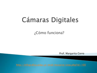 ¿Cómo funciona?




                                  Prof. Margarita Corro



http://infografias.educ.ar/mod/resource/view.php?id=100
 