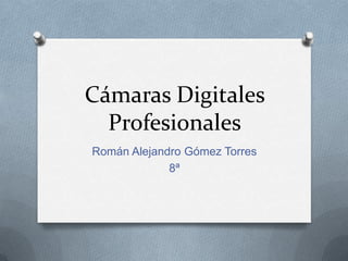 Cámaras Digitales
  Profesionales
Román Alejandro Gómez Torres
             8ª
 