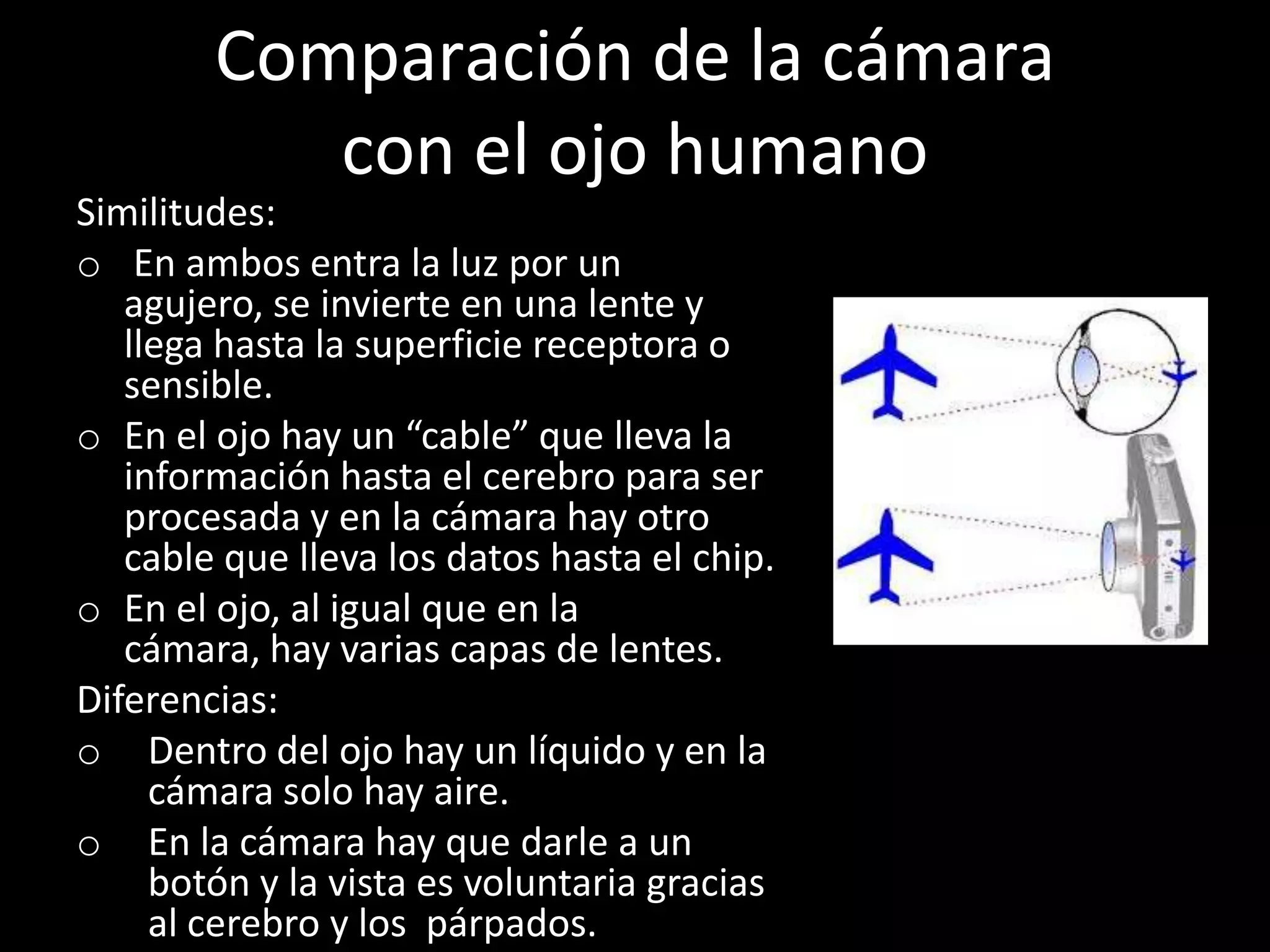 Comparación de la cámara
con el ojo humano
Similitudes:
o En ambos entra la luz por un
agujero, se invierte en una lente y
llega hasta la superficie receptora o
sensible.
o En el ojo hay un “cable” que lleva la
información hasta el cerebro para ser
procesada y en la cámara hay otro
cable que lleva los datos hasta el chip.
o En el ojo, al igual que en la
cámara, hay varias capas de lentes.
Diferencias:
o Dentro del ojo hay un líquido y en la
cámara solo hay aire.
o En la cámara hay que darle a un
botón y la vista es voluntaria gracias
al cerebro y los párpados.
 