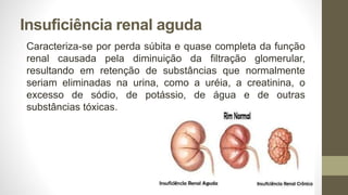 Insuficiência renal aguda
Caracteriza-se por perda súbita e quase completa da função
renal causada pela diminuição da filtração glomerular,
resultando em retenção de substâncias que normalmente
seriam eliminadas na urina, como a uréia, a creatinina, o
excesso de sódio, de potássio, de água e de outras
substâncias tóxicas.
 