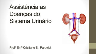 Assistência as
Doenças do
Sistema Urinário
Profª Enfª Cristiane S. Paravisi
 