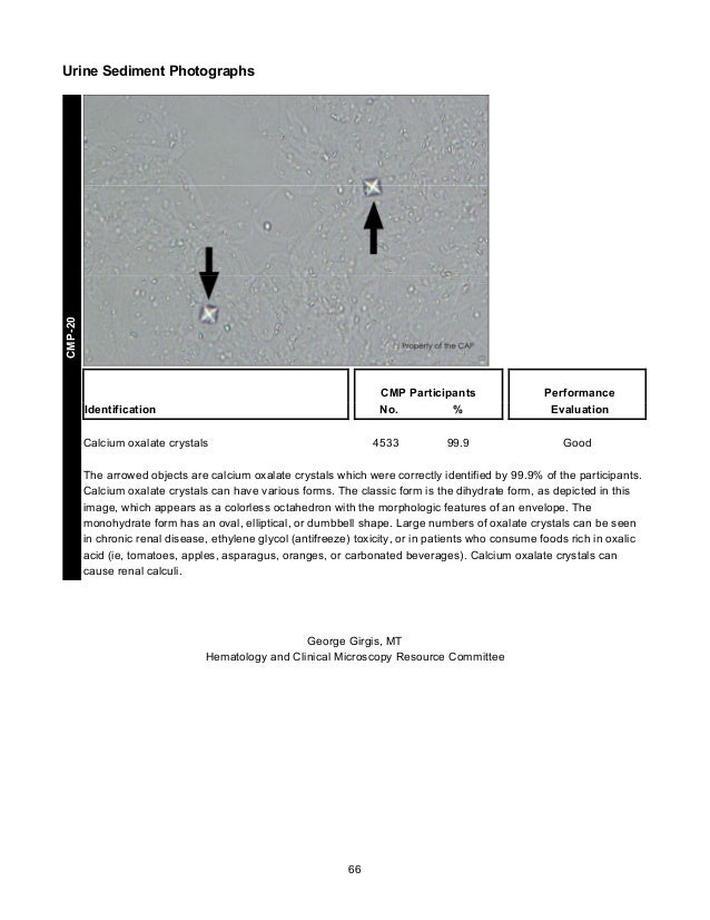 CAP's Survey in Clinical Microscopy 2013