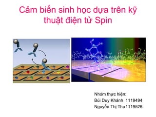 Cảm biến sinh học dựa trên kỹ
thuật điện tử Spin
Nhóm thực hiện:
Bùi Duy Khánh 1119494
Nguyễn Thị Thu1119526
 
