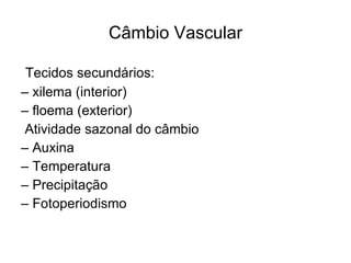 Câmbio Vascular Tecidos secundários: –  xilema (interior) –  floema (exterior) Atividade sazonal do câmbio –  Auxina –  Temperatura –  Precipitação –  Fotoperiodismo 