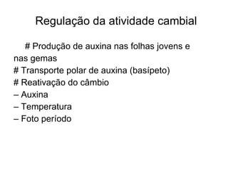 Regulação da atividade cambial # Produção de auxina nas folhas jovens e nas gemas # Transporte polar de auxina (basípeto) # Reativação do câmbio –  Auxina –  Temperatura –  Foto período 